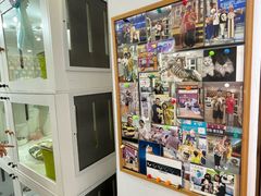 -青奢宠物·青奢猫舍