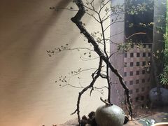 -物心空间