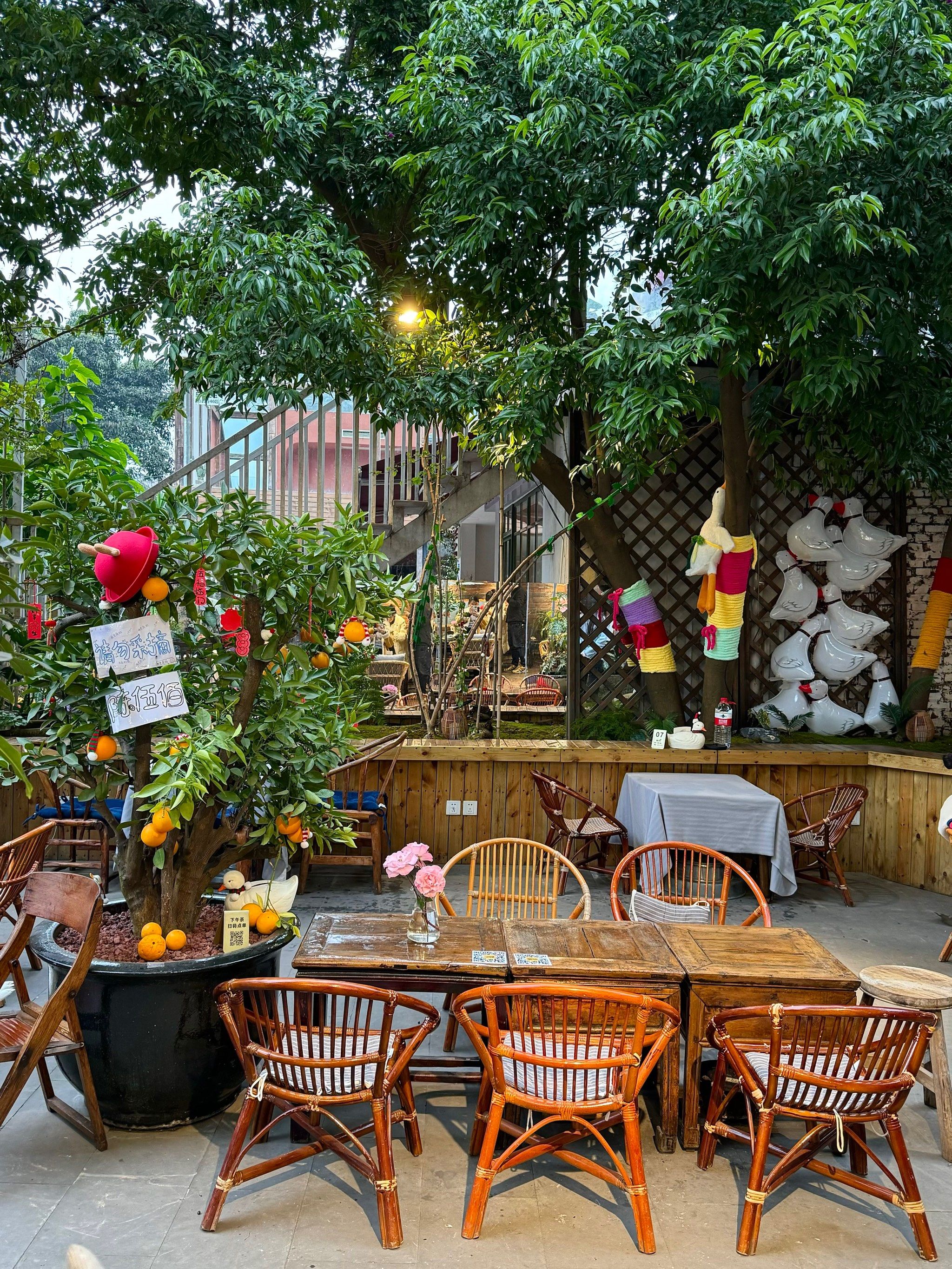 这个小院真的可以待一整天