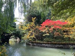 -上海醉白池公园