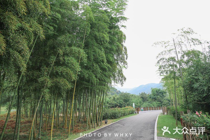 长兴开元芳草地乡村酒店| 杭州周边的世外桃源
