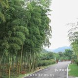 长兴开元芳草地乡村酒店| 杭州周边的世外桃源