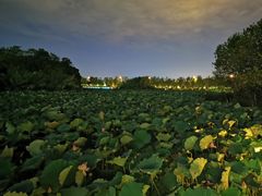 -艾溪湖湿地公园