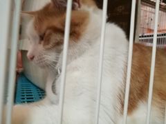 -小时光咖啡馆(北锣鼓巷店)