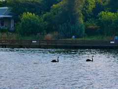 -五缘水乡酒店兰轩中餐厅