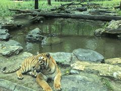 -北京野生动物园