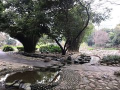 -成都市活水公园