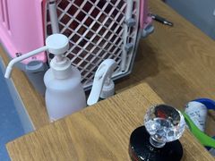 -伟伟宠物医院·瑞派猫友好医院·猫科(光谷店)