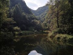 -洛阳白云山景区