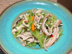 -蘑界·野生菌火锅(深业上城店)