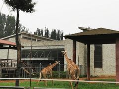 -石家庄市动物园