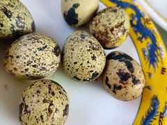 鹌鹑蛋-康陵正德春饼宴26号
