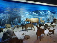 -呼伦贝尔民族博物馆