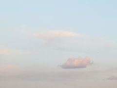 -迎宾楼(解放西街店)