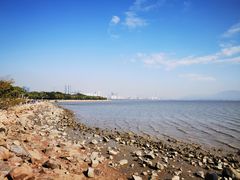 -深圳湾公园(南山区)