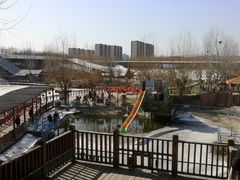-北京鹿世界主题园