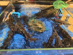 -上和臻品中国菜(花园街店)