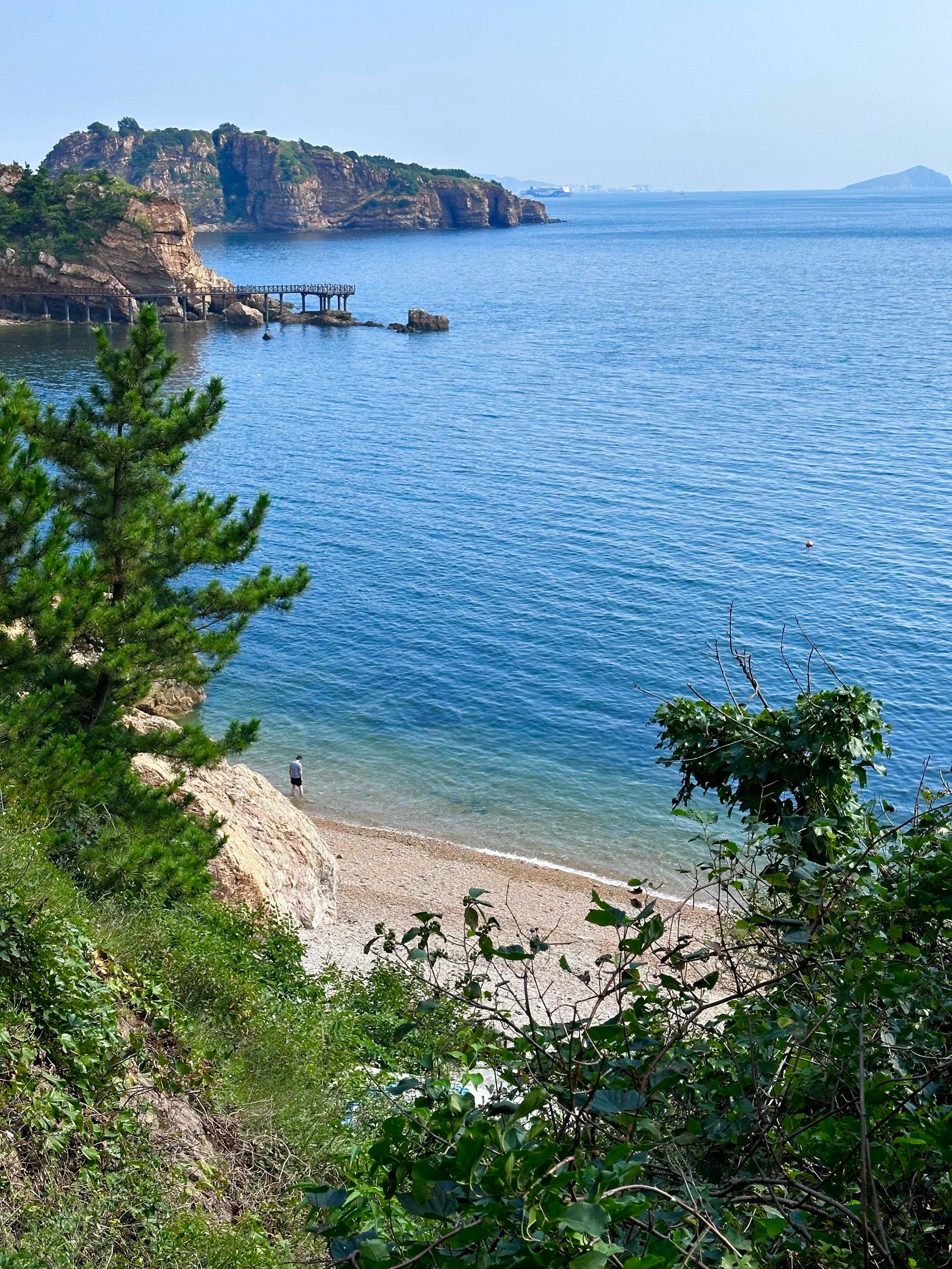 大连大连!新开放的果冻海美哭了!