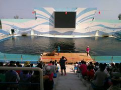 -北戴河圣蓝海洋公园