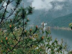 -新安江山水画廊风景区