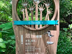 -华侨城湿地公园