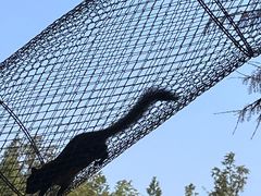 -云碧峰国家森林公园