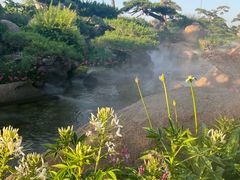 -罗红摄影艺术馆