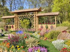 -上海共青森林公园