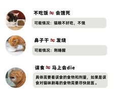 -爱侣宠医·鹦鹉专科·小型哺乳类·异宠专科(灵石路店)