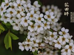 -长春公园(普阳街道)