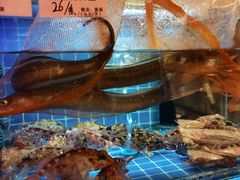-涌觅名灶·本地海鲜宁波菜(财富广场店)