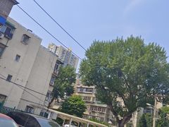 -大益烤鸡