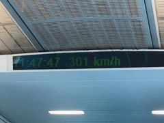 -龙阳路磁悬浮列车总站-停车场