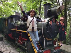 -五营红松林海景区