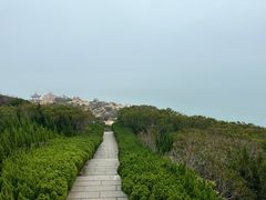 -湄洲岛