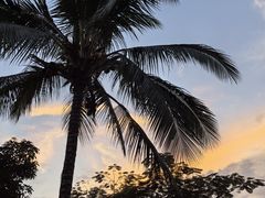 -西双版纳傣族园