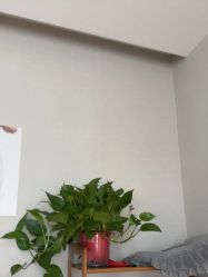 点击看大图 -Dr.林醫生产后修复·配方产康(南京江宁万达店)