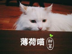 -刀郎牛肉面新疆餐厅·烧烤(清真通州珠江国际城店)
