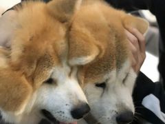 -YCHL Studios健身工作室(市二宫店)