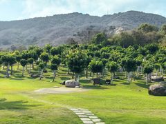 -三亚南山文化旅游区