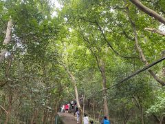 -紫金山山顶公园