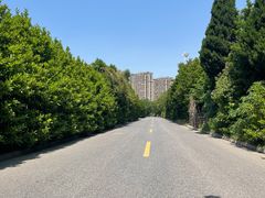 -苏州上方山国家森林公园