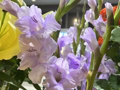 -EPOQUE·一刻花店(兴业太古汇店)