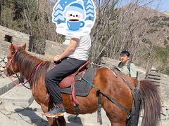 -雁门关景区