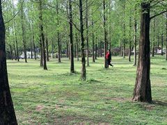 -成都南湖公园