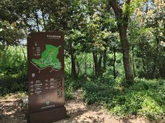 -上海佘山国家森林公园天马山园