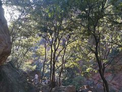 -环翠峪风景区