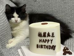 -芒果与甜纯动物奶油蛋糕&甜品台定制