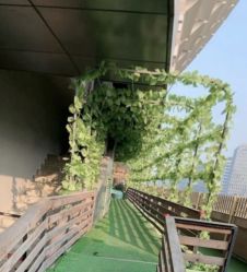 -可可天空农场(中大店)
