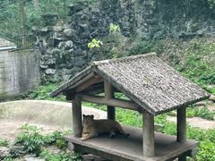 -杭州少年儿童公园